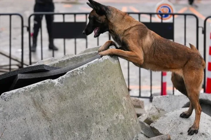 İstanbul Maltepe’nin Zeyna’sı artık ekibin bir parçası