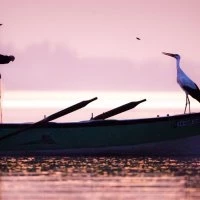 ‘Uluslararası Bursa Leylek Şenliği’ başlıyor