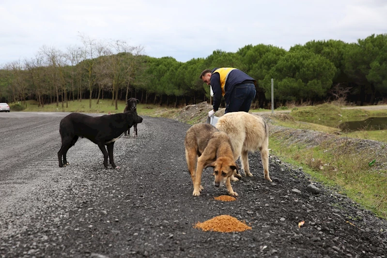 Eyüpsultan’da patili dostlara destek sürüyor