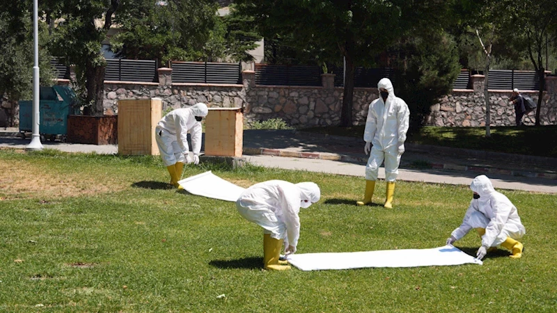 Kene Tehdidine Karşı Büyükşehir Sahada