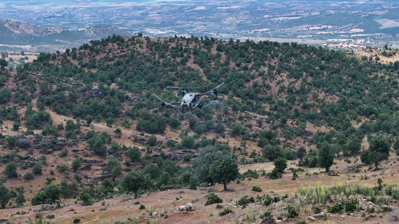 Köprübaşı’nda Çekirge İstilasına Karşı Mücadele
