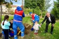 KÂĞITHANE’DE YENİ HAYATLAR, YENİ AĞAÇLARLA BULUŞUYOR